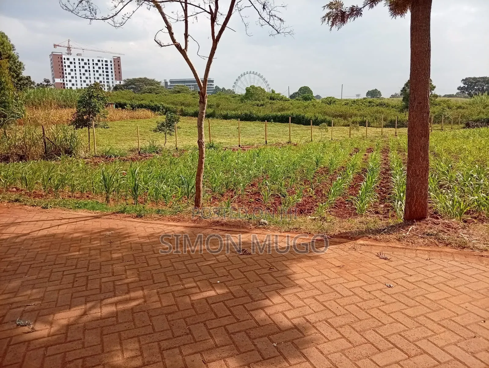 Runda Gardens Prime Residential Serviced Well Drained Red Soil 3/4 AC in Runda