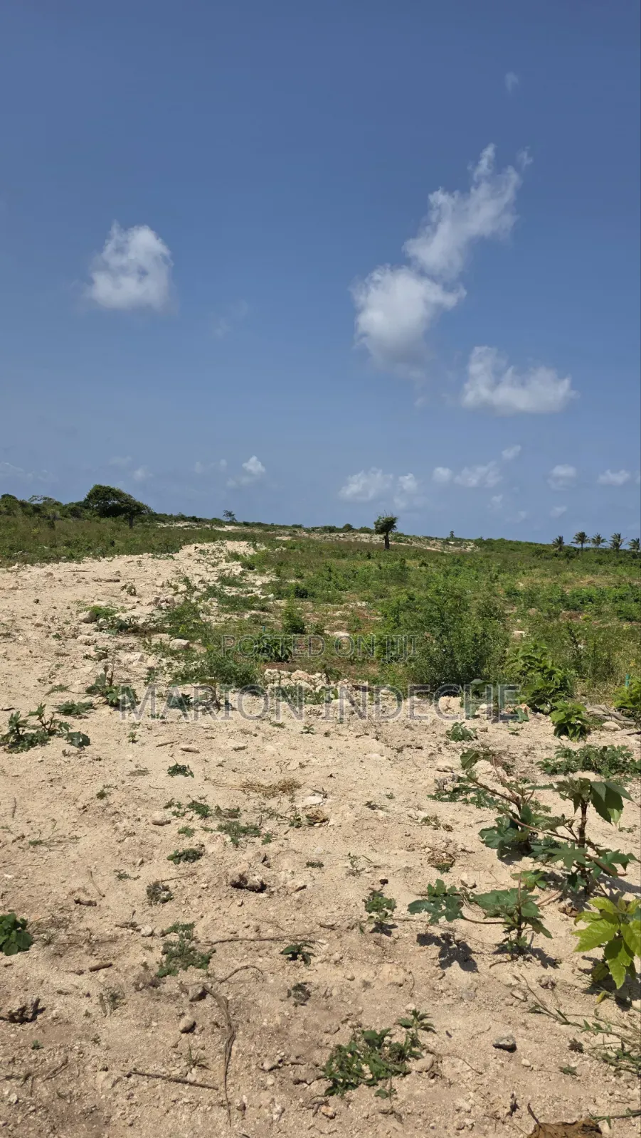 Chumani Affordable 50x100ft Beach Plots for Sale in Kilifi Town