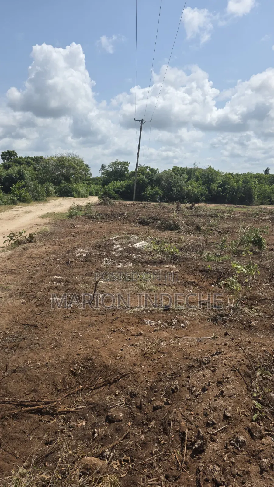Chumani Affordable 50x100ft Beach Plots for Sale in Kilifi Town