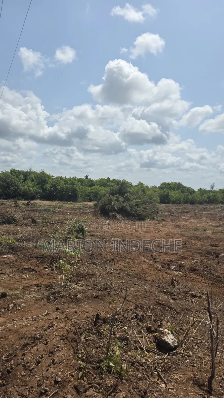 Chumani Affordable 50x100ft Beach Plots for Sale in Kilifi Town