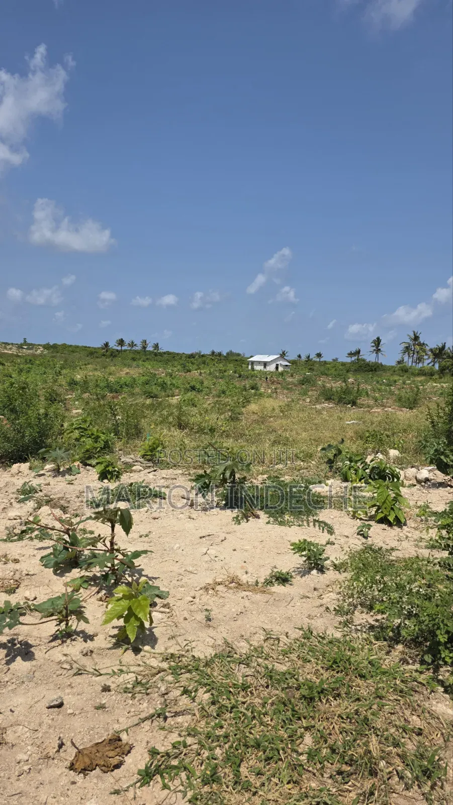 Chumani Affordable 50x100ft Beach Plots for Sale in Kilifi Town
