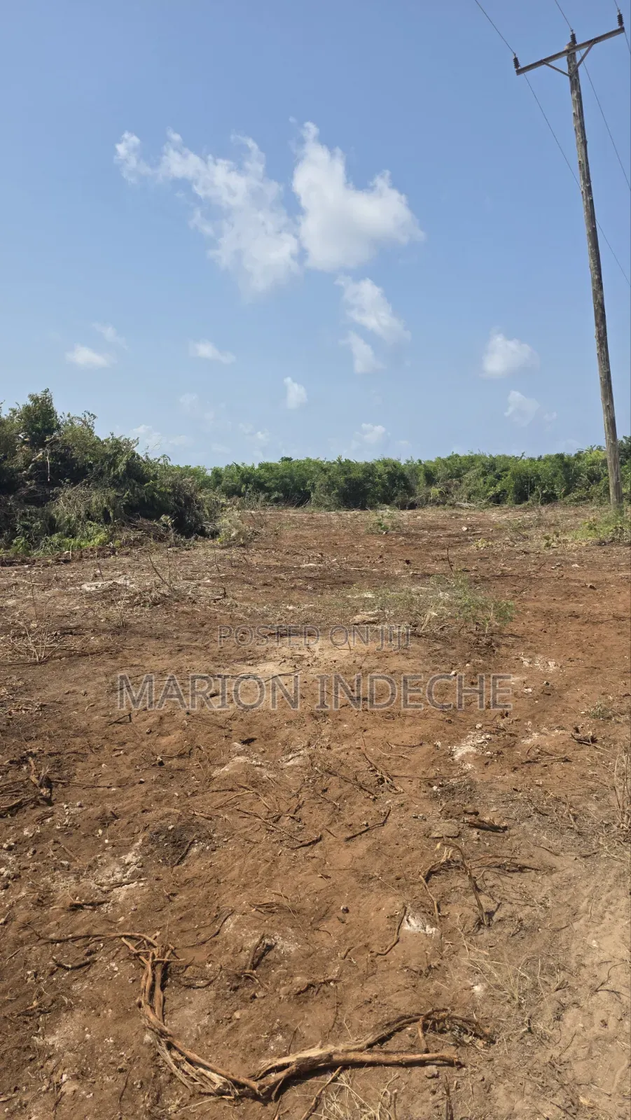Chumani Affordable 50x100ft Beach Plots for Sale in Kilifi Town
