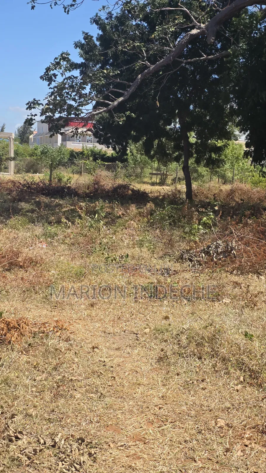 Half Acre for Sale in Kilifi Bofa 300meters Off B69 in Kilifi Town