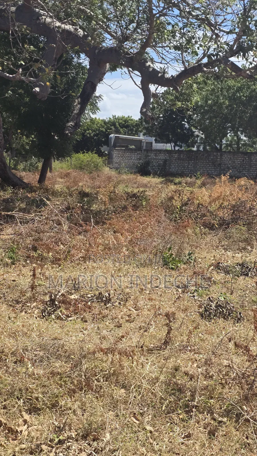 Half Acre for Sale in Kilifi Bofa 300meters Off B69 in Kilifi Town