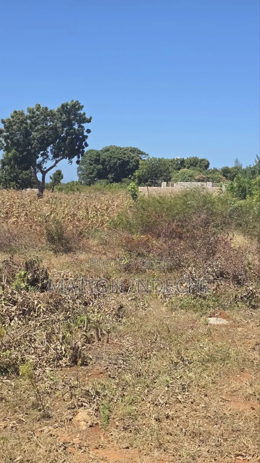 Half Acre for Sale in Kilifi Bofa 300meters Off B69 in Kilifi Town
