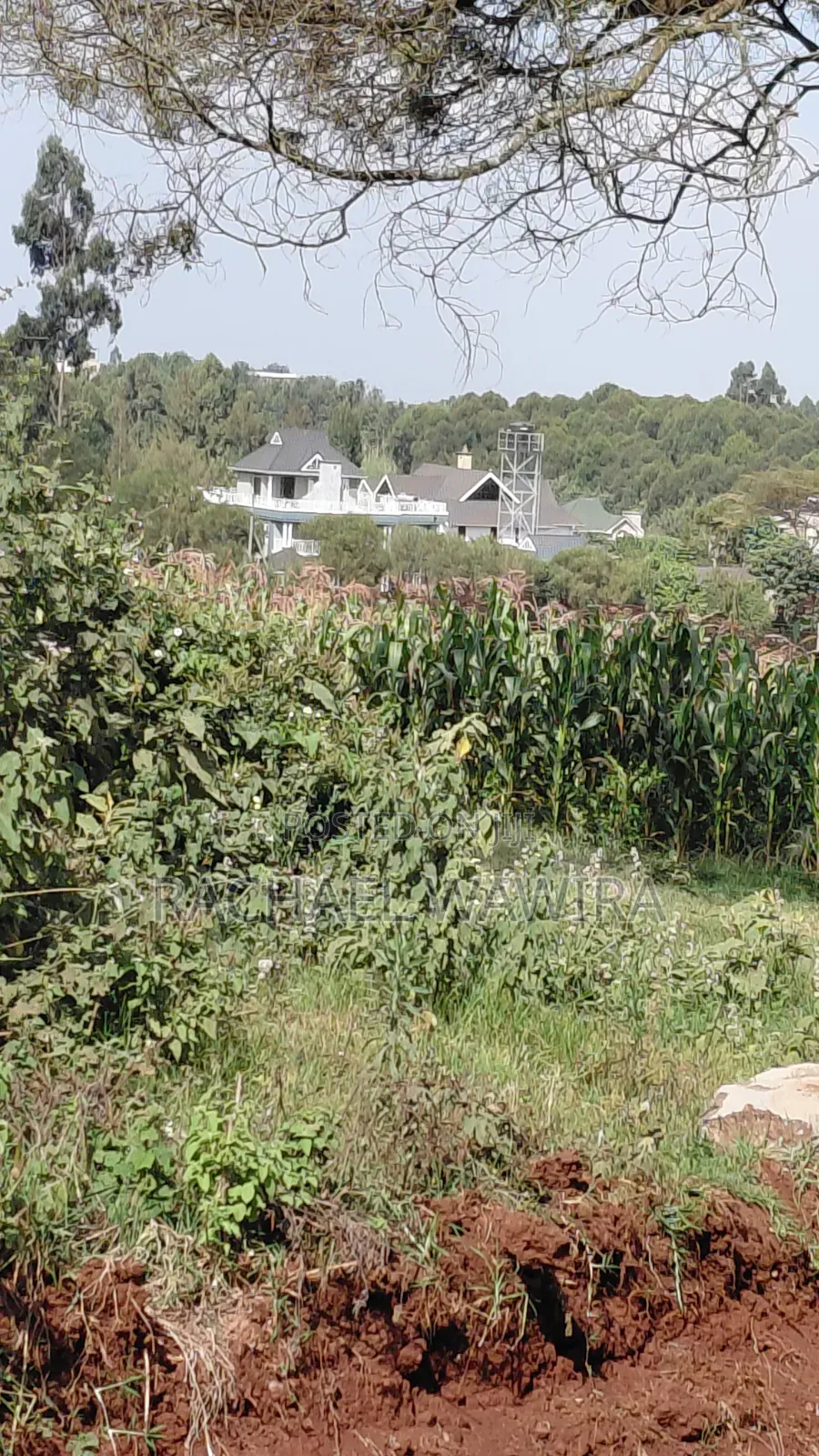 Parcel of Land in Ngecha for Sale- Limuru Area in Ngecha
