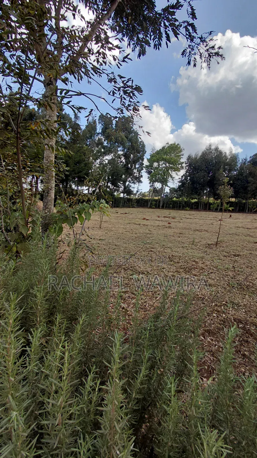 Parcel of Land in Ngecha for Sale- Limuru Area in Ngecha