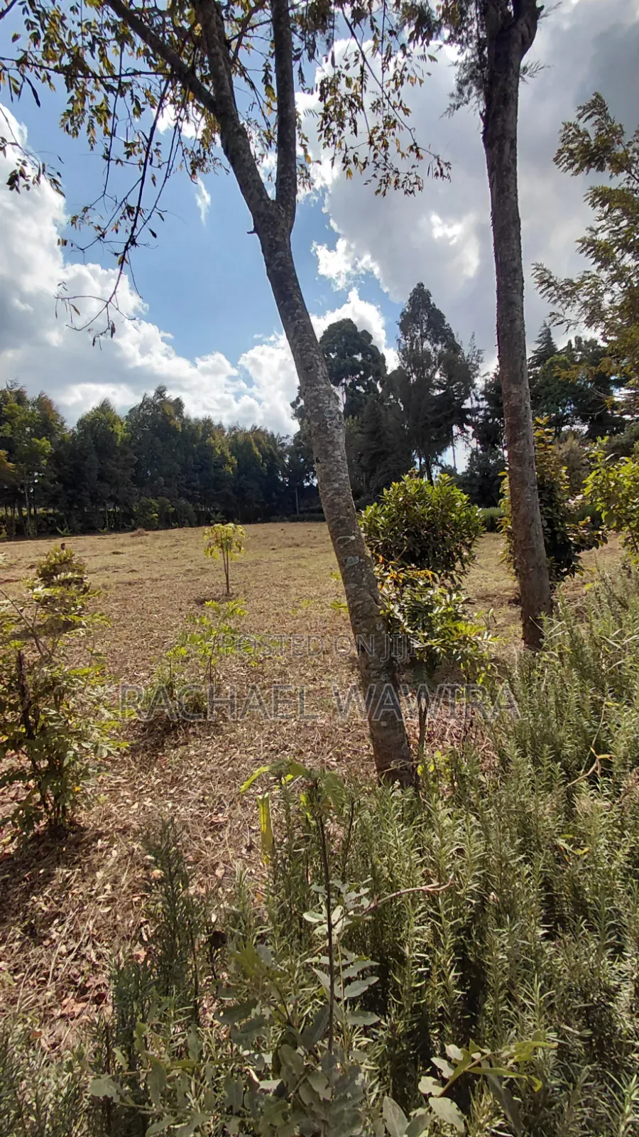 Parcel of Land in Ngecha for Sale- Limuru Area in Ngecha