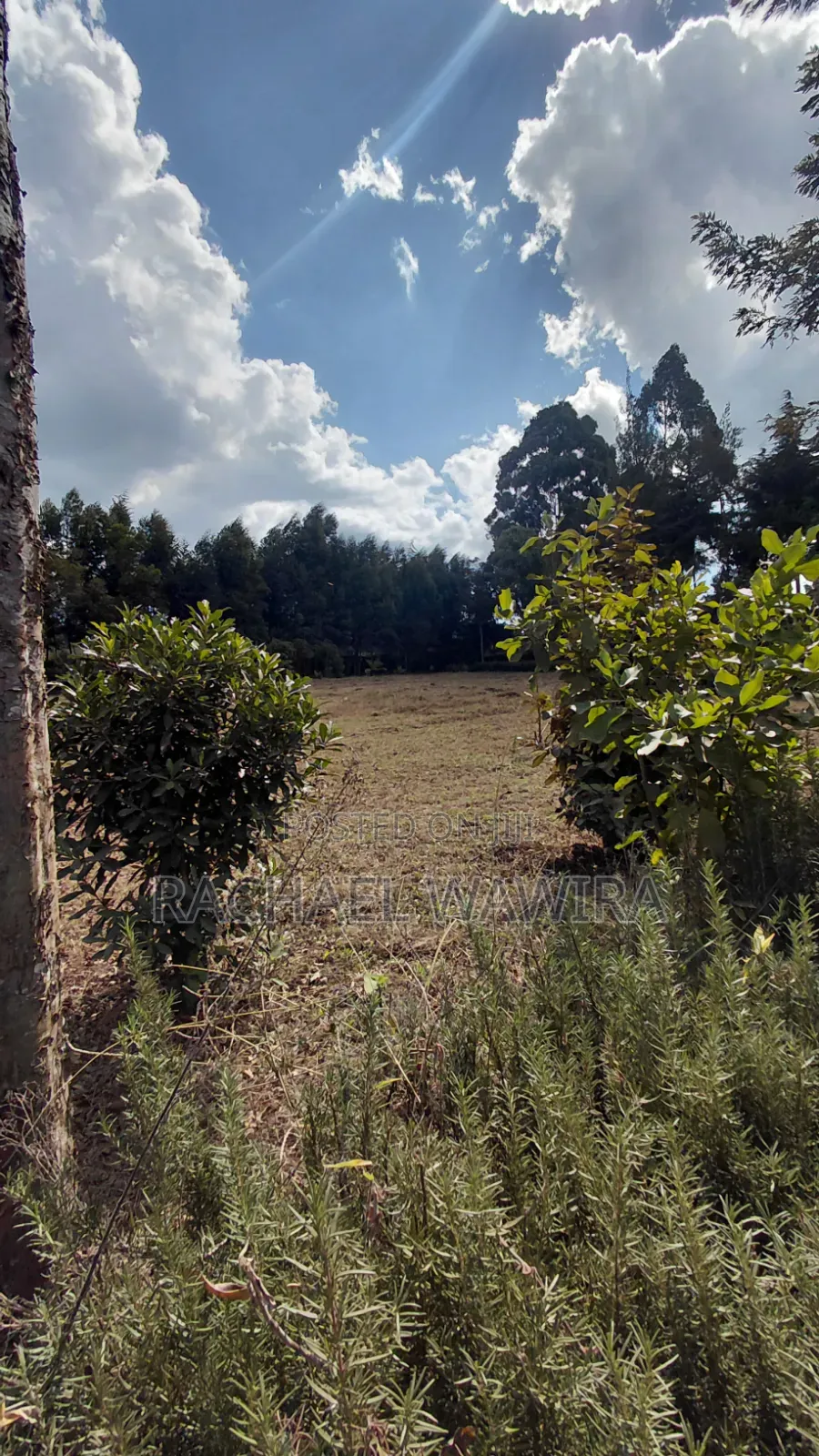Parcel of Land in Ngecha for Sale- Limuru Area in Ngecha