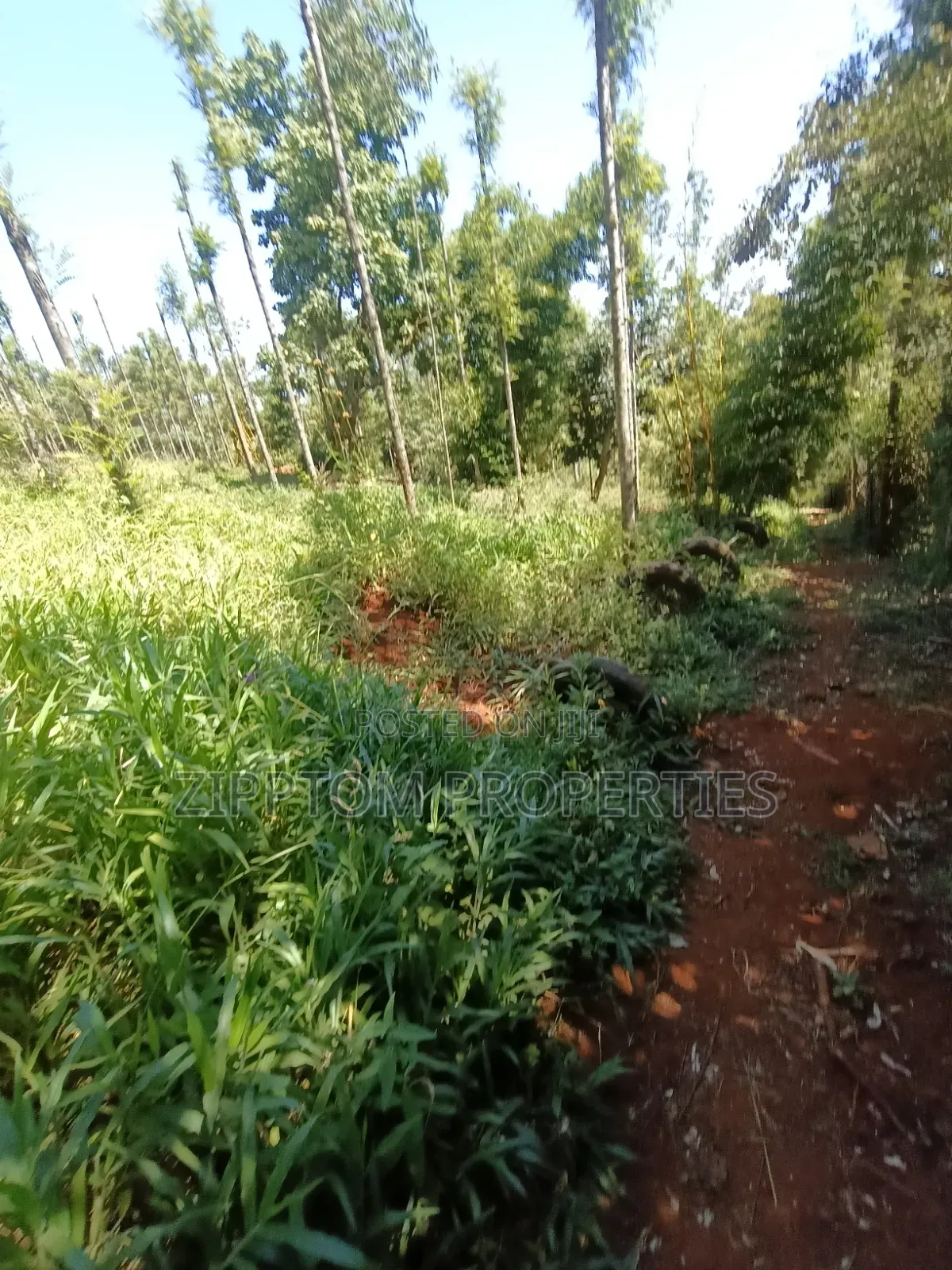 Developed Land4 Acres to Sell in Karen Kalinde in Karen C