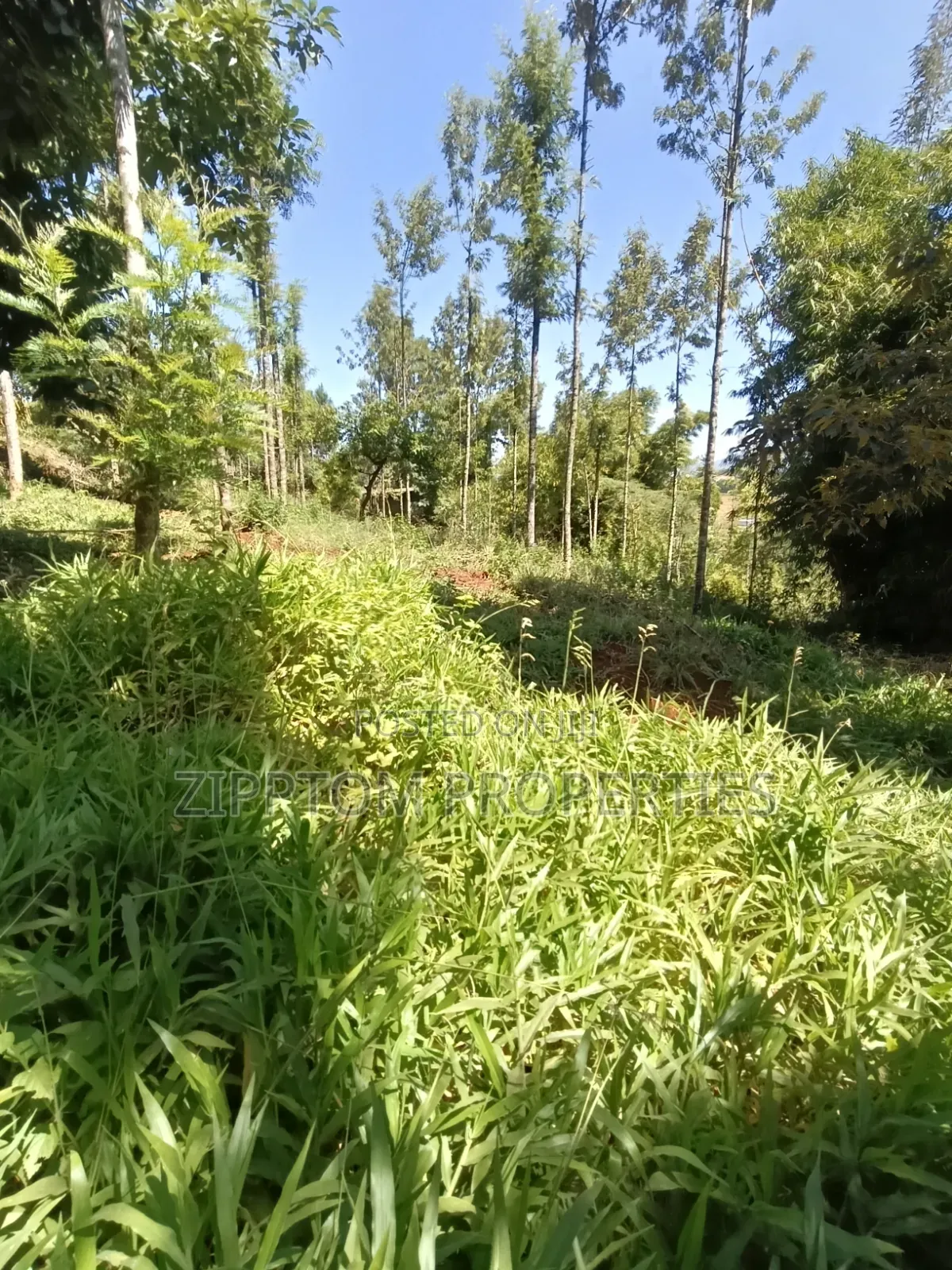 Developed Land4 Acres to Sell in Karen Kalinde in Karen C