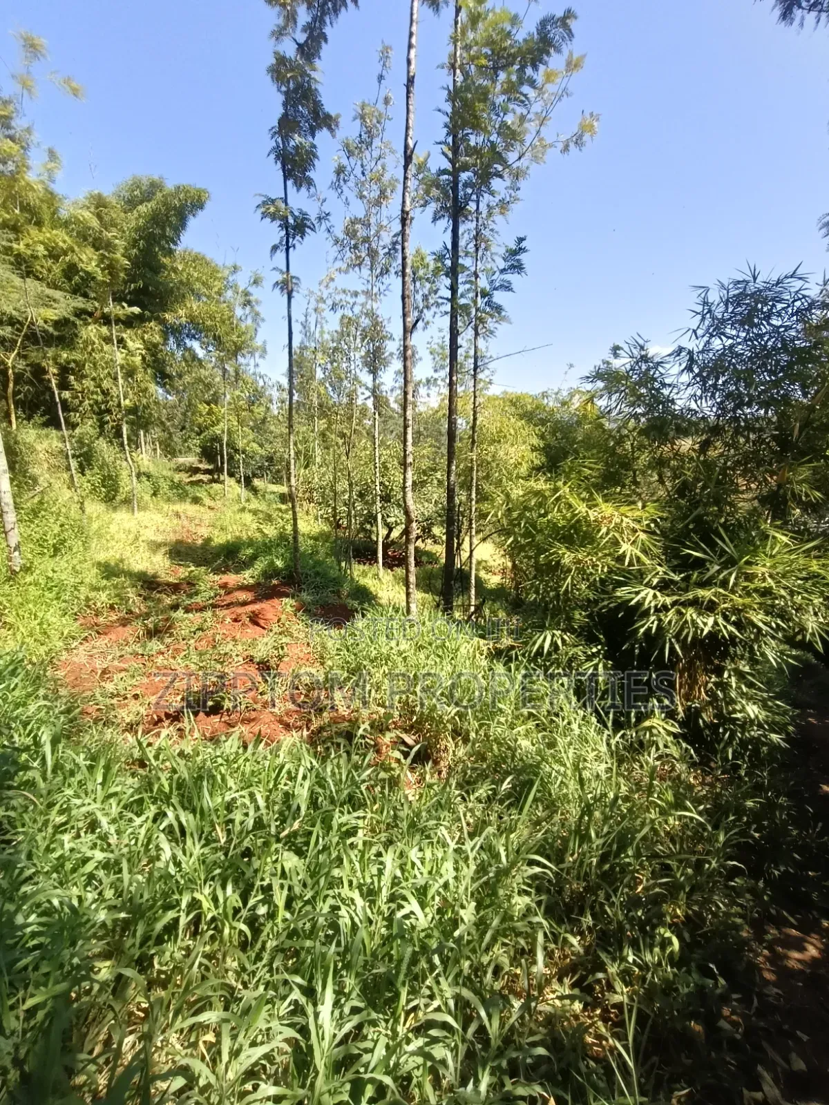 Developed Land4 Acres to Sell in Karen Kalinde in Karen C