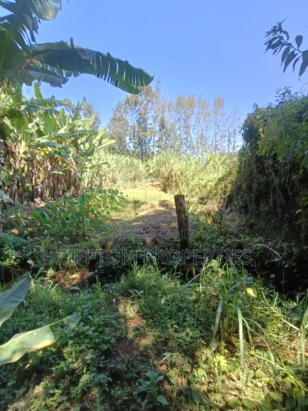 Developed Land4 Acres to Sell in Karen Kalinde in Karen C