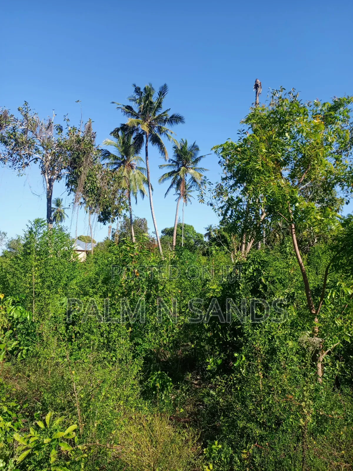 One Acre on Second Row in Galu Diani on Sale! in Diani