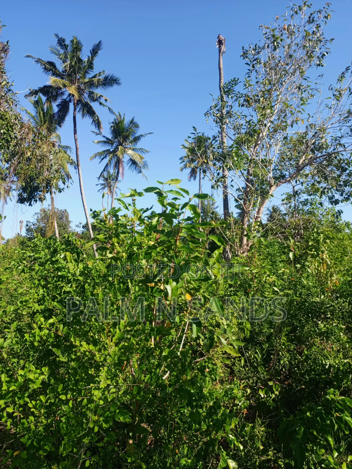 One Acre on Second Row in Galu Diani on Sale! in Diani