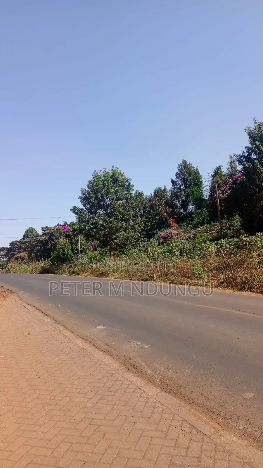 Kamiti Road- Prime 1/4 Acre Touching Kamiti Road Opposite Wood Creek in Maziwa