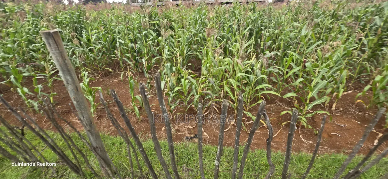1⁄4 Plots for Sale in Kapseret Wells Eldoret in Wareng