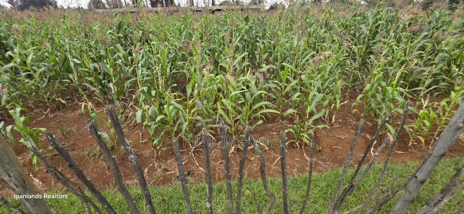 1⁄4 Plots for Sale in Kapseret Wells Eldoret in Wareng