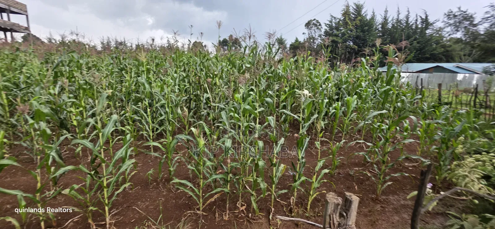 1⁄4 Plots for Sale in Kapseret Wells Eldoret in Wareng