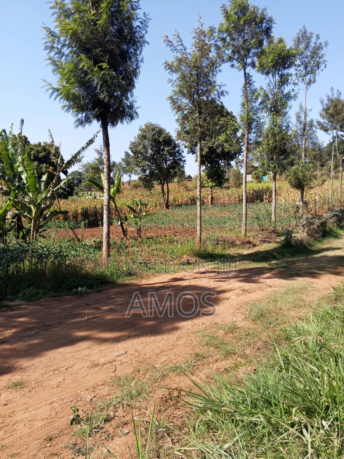 1⁄8 AC Plot Sale Limuru Nyatarangi Area 4th Row From Maimahiu Highway in Ndeiya