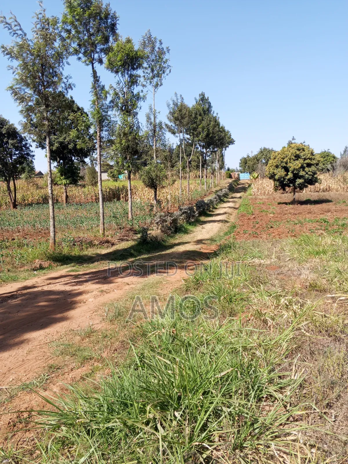 1⁄8 AC Plot Sale Limuru Nyatarangi Area 4th Row From Maimahiu Highway in Ndeiya