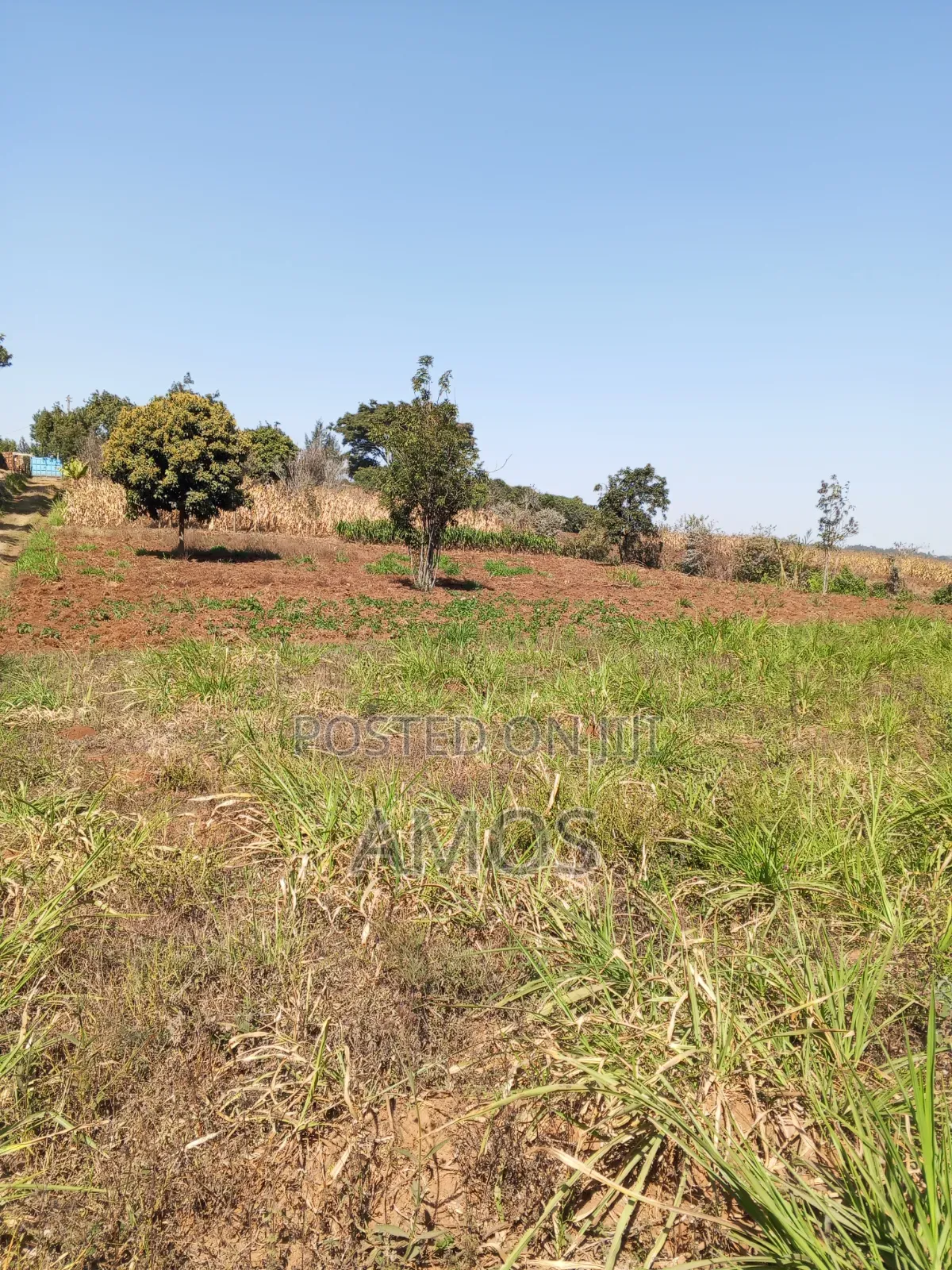 1⁄8 AC Plot Sale Limuru Nyatarangi Area 4th Row From Maimahiu Highway in Ndeiya