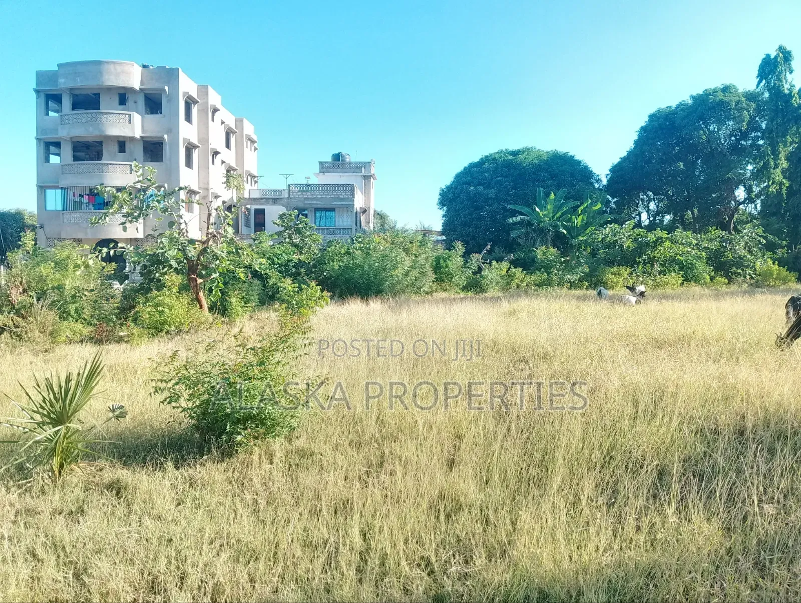 Quarter Acre Plot for Sale in Utange in Utange