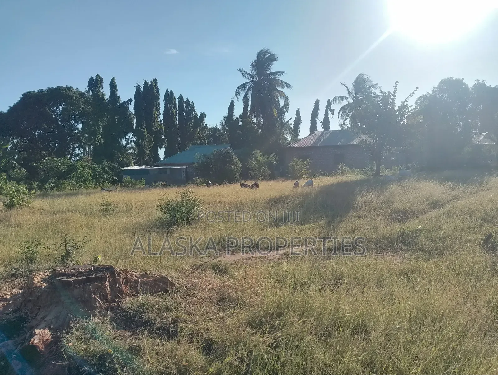 Quarter Acre Plot for Sale in Utange in Utange