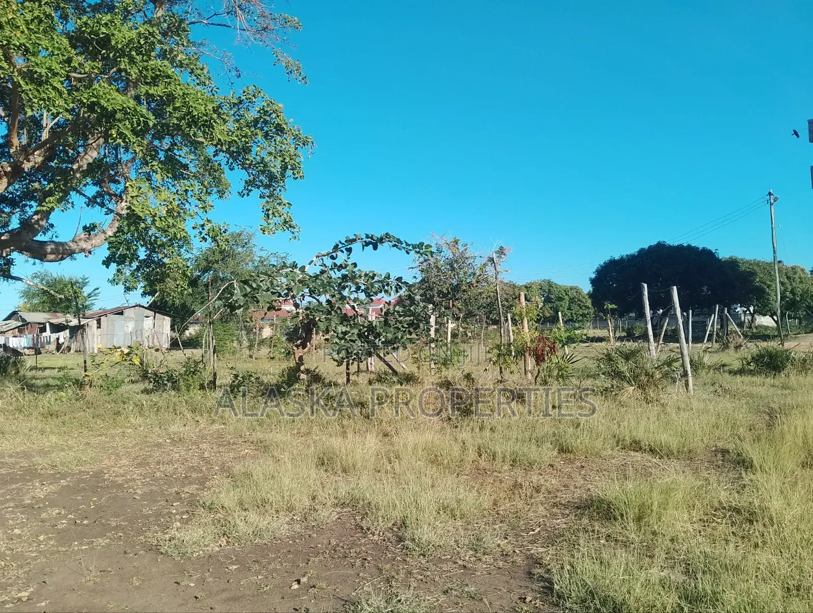 Quarter Acre Plot for Sale in Utange in Utange