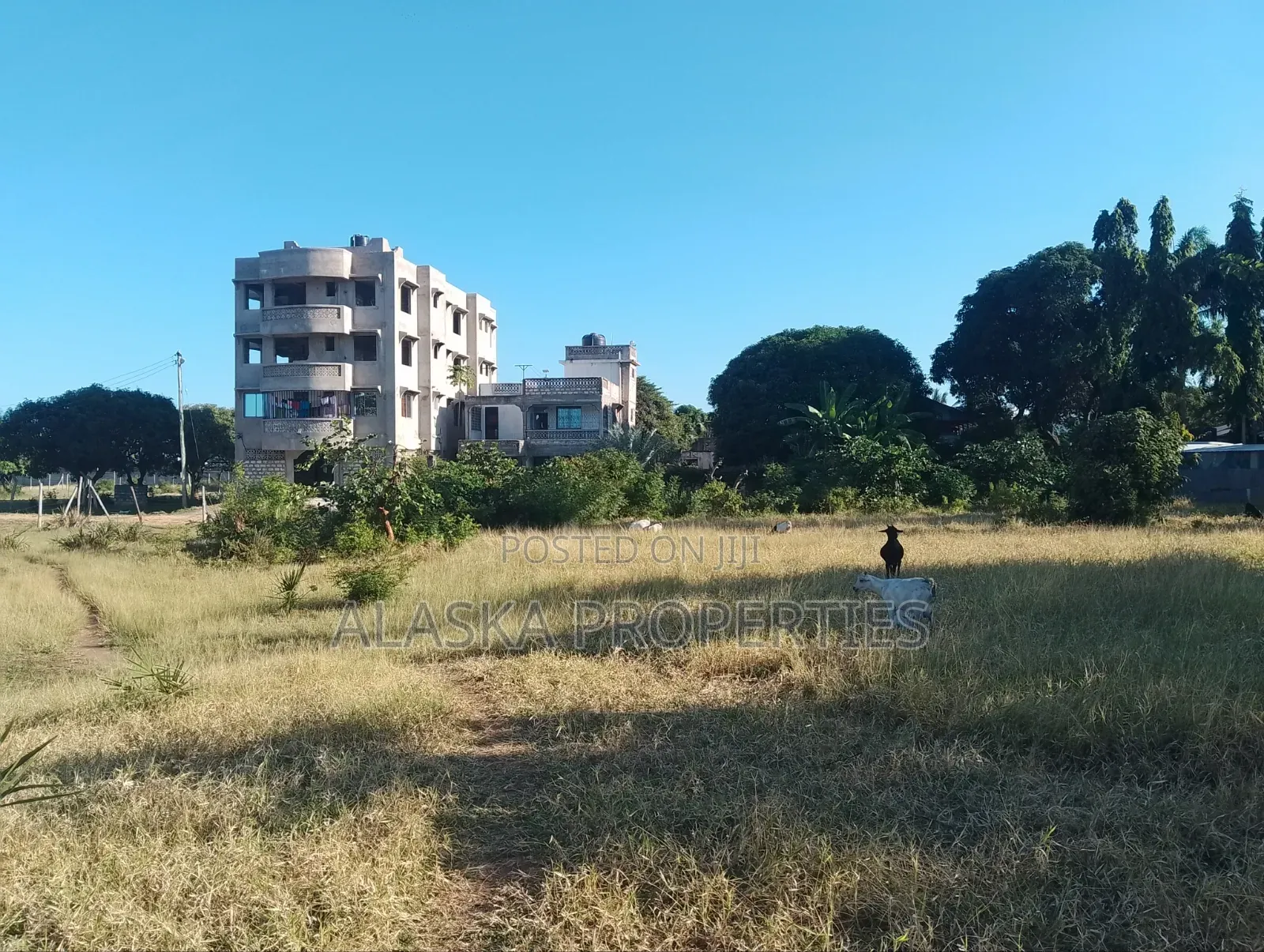 Quarter Acre Plot for Sale in Utange in Utange