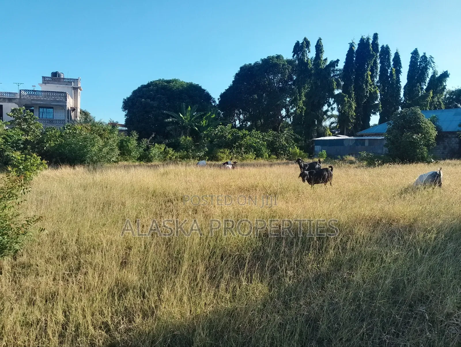 Quarter Acre Plot for Sale in Utange in Utange