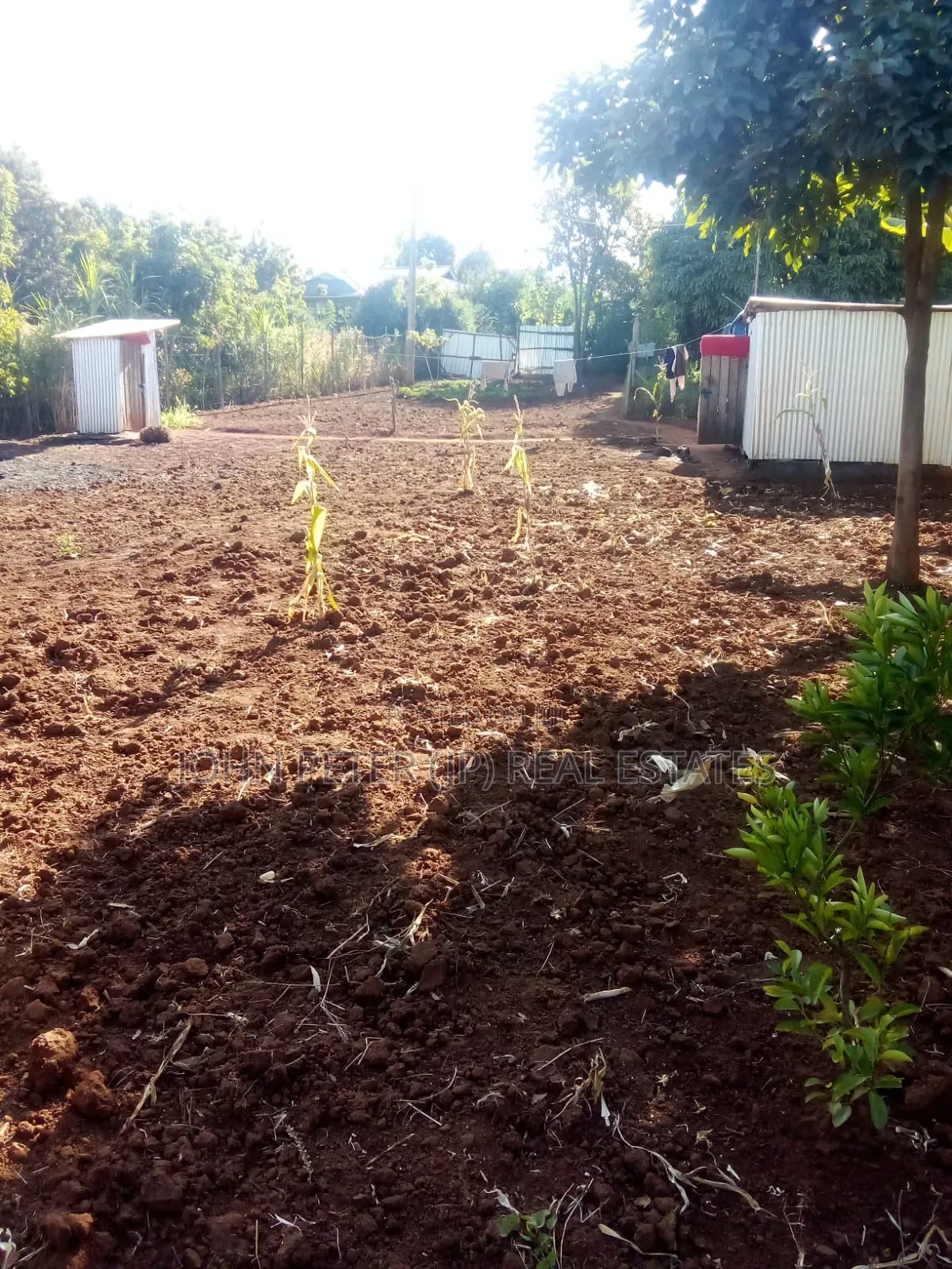 Plots in Gikambura in Thogoto