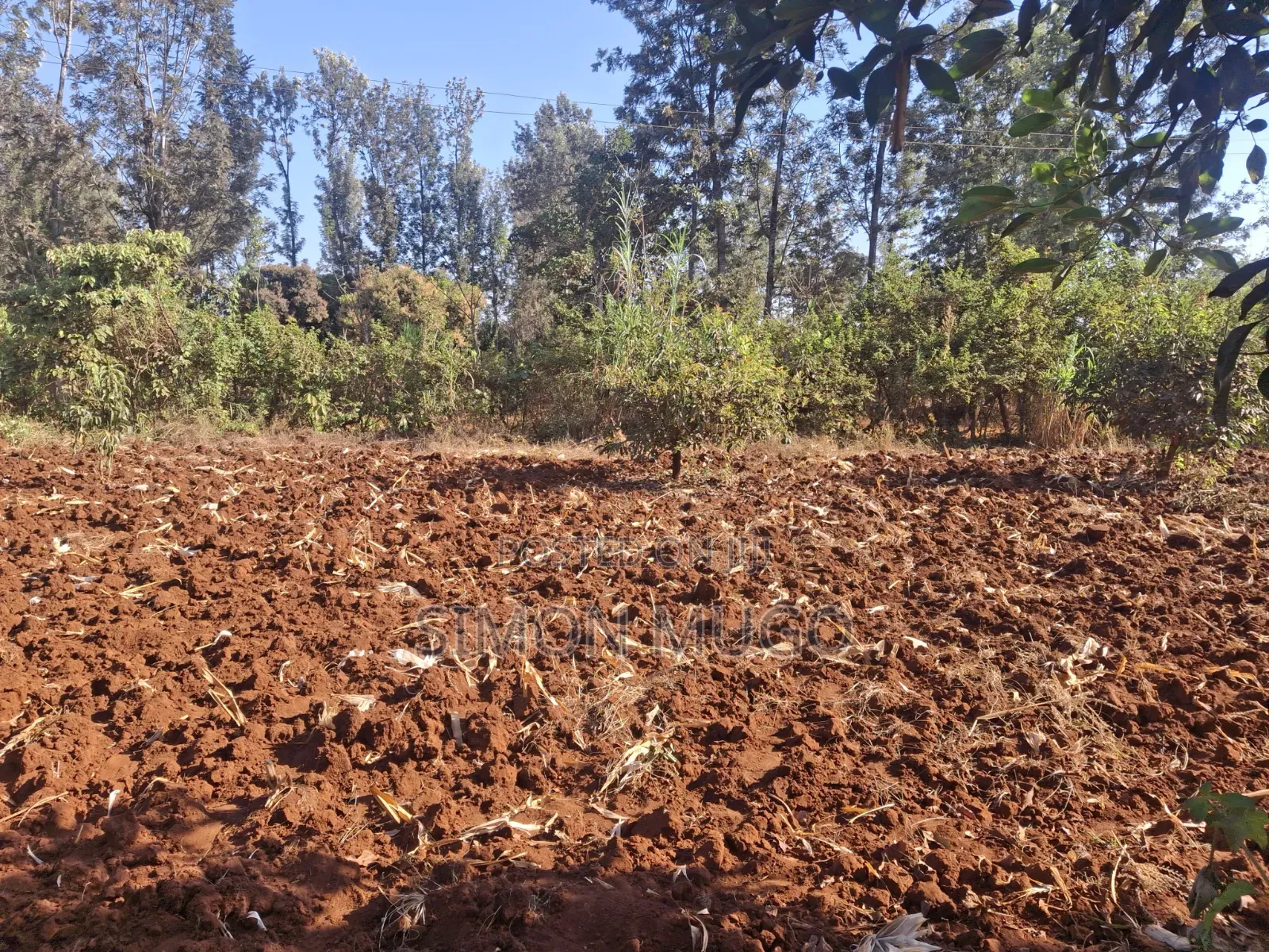Kenol Makuyu 610ac Serviced With Pipedwater 3phase Powerline Dams Etc in Makuyu
