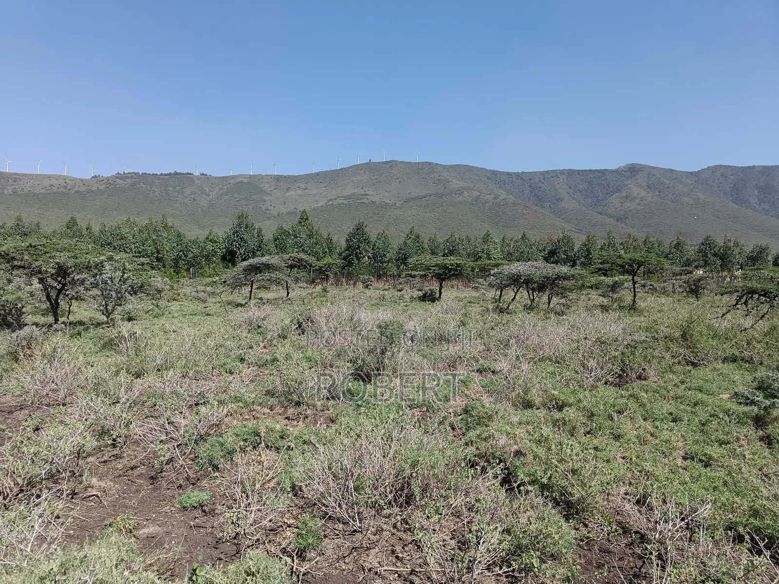 1 Acre for Sale in Ngong Kimuka in Kibiku