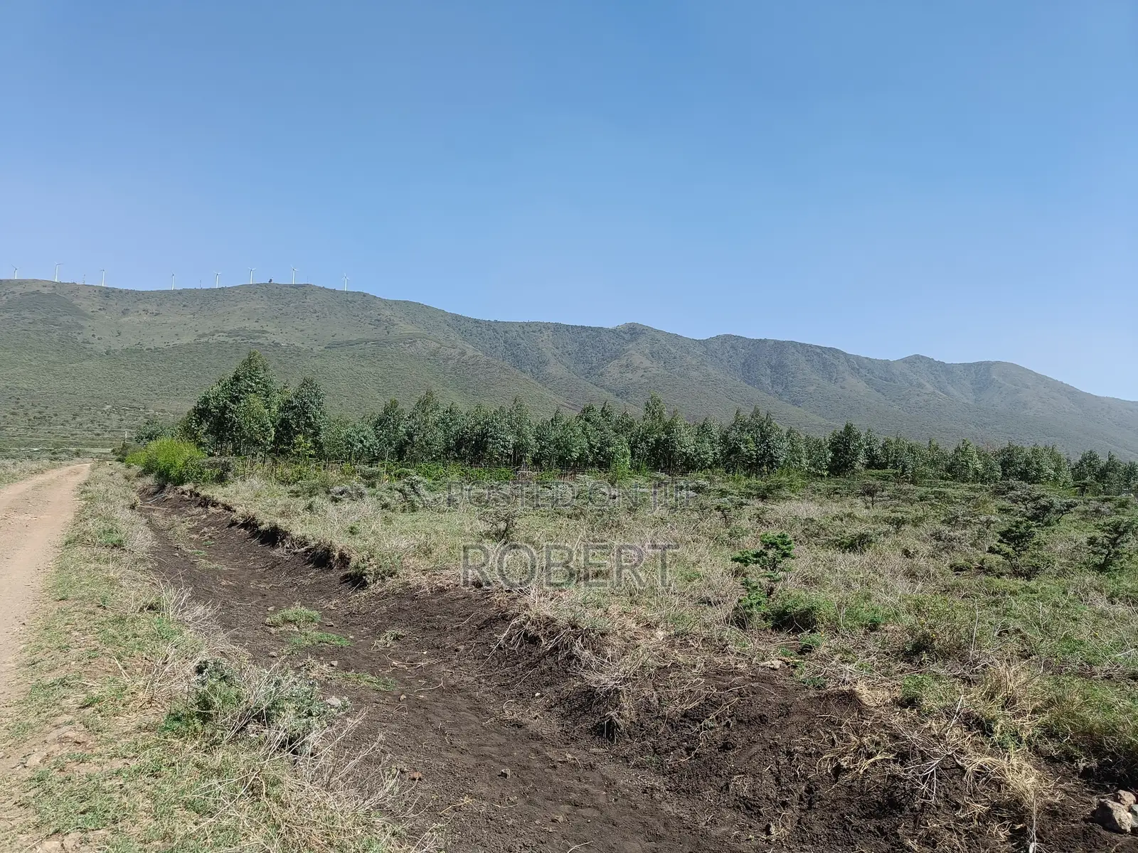 1 Acre for Sale in Ngong Kimuka in Kibiku