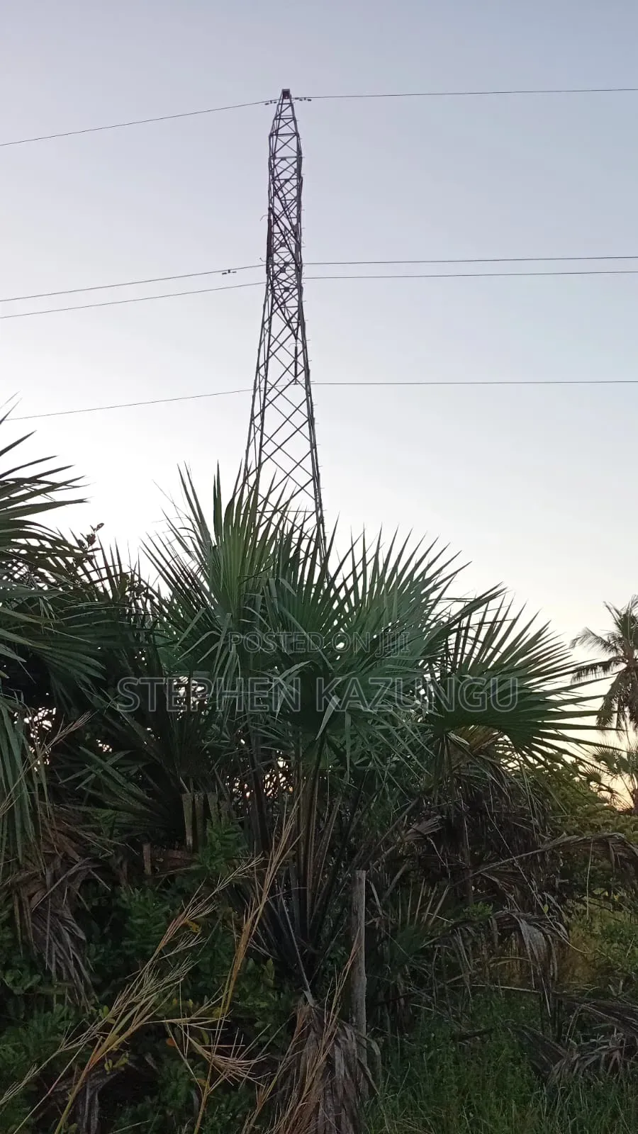 A Green-View 1 Acre Plot Near to Mwabungo Town. in Ukunda