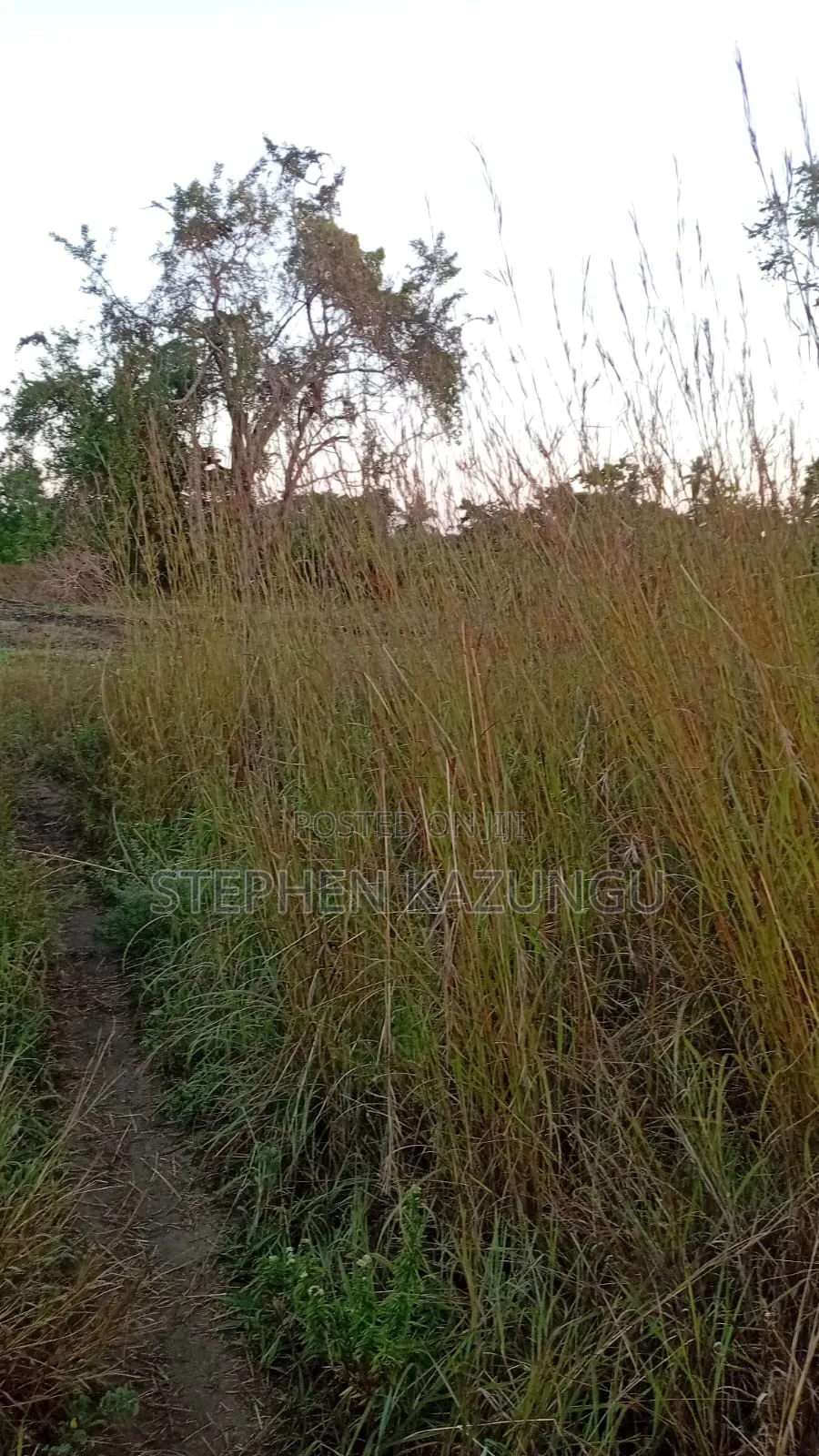 A Green-View 1 Acre Plot Near to Mwabungo Town. in Ukunda