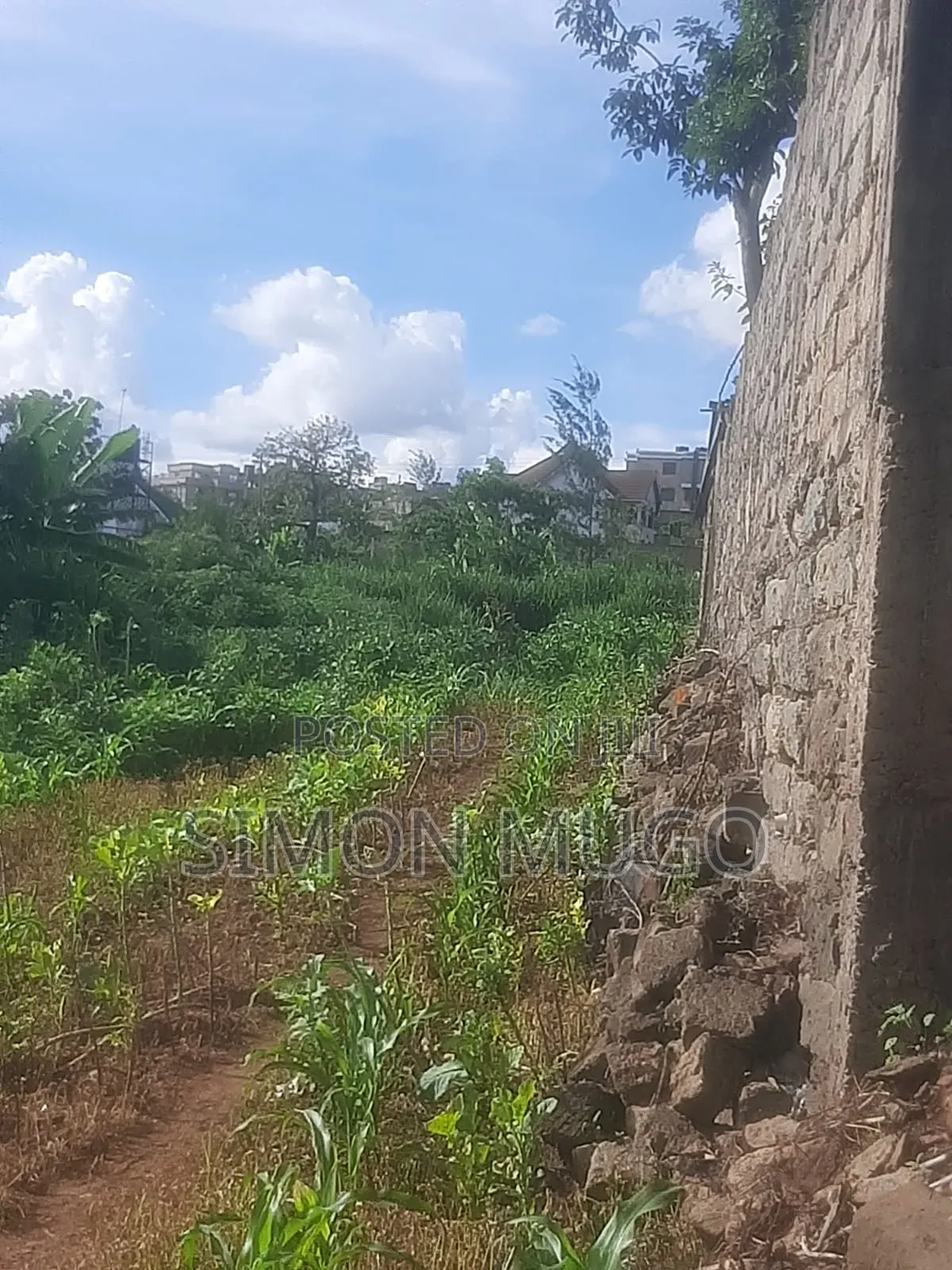 Ruiru Kiambu Road Prime Well Drained Red Soil 42 Acre Kiu Kenda in Kiuu