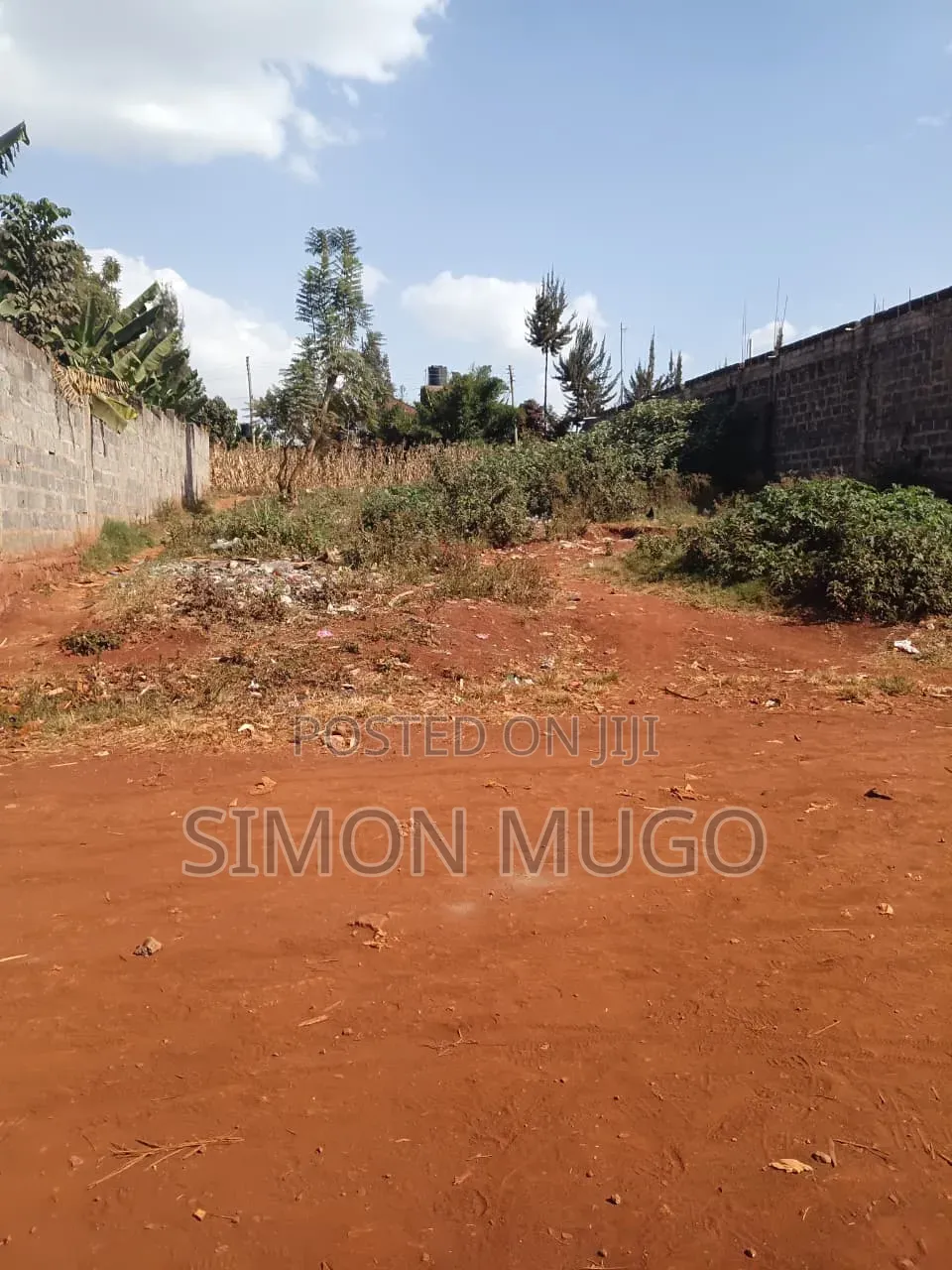 Ruiru Kiambu Road Prime Well Drained Red Soil 42 Acre Kiu Kenda in Kiuu