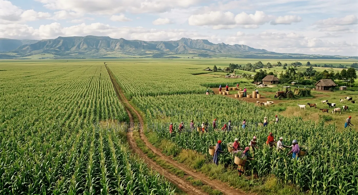 Land in Narok - Nkorkorri in Ololulung'A