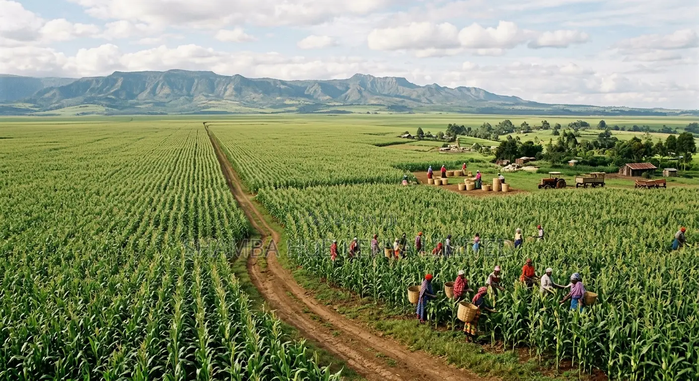 Land in Narok - Nkorkorri in Ololulung'A