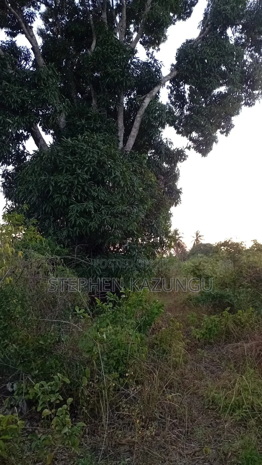 1 Acre Plot at Mwabungo Near Town at 1 Km From Lungalunga Highway in Ukunda