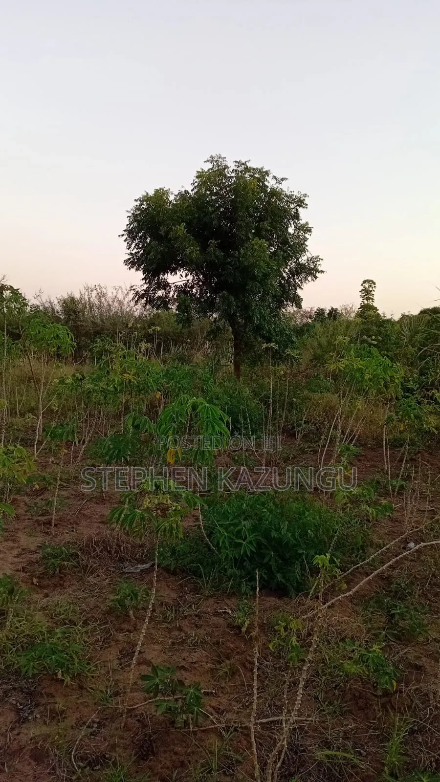 1 Acre Plot at Mwabungo Near Town at 1 Km From Lungalunga Highway in Ukunda