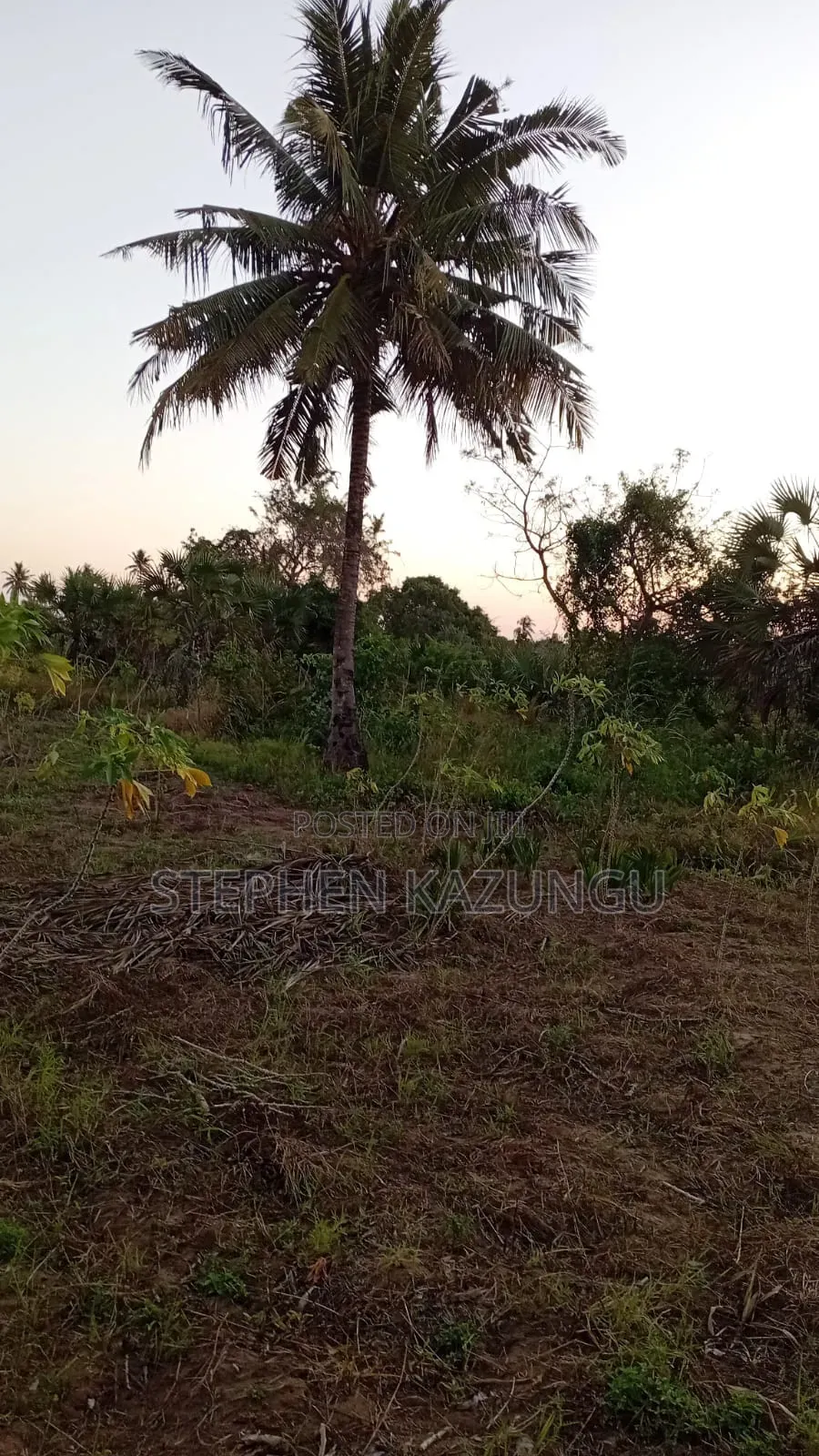 1 Acre Plot at Mwabungo Near Town at 1 Km From Lungalunga Highway in Ukunda
