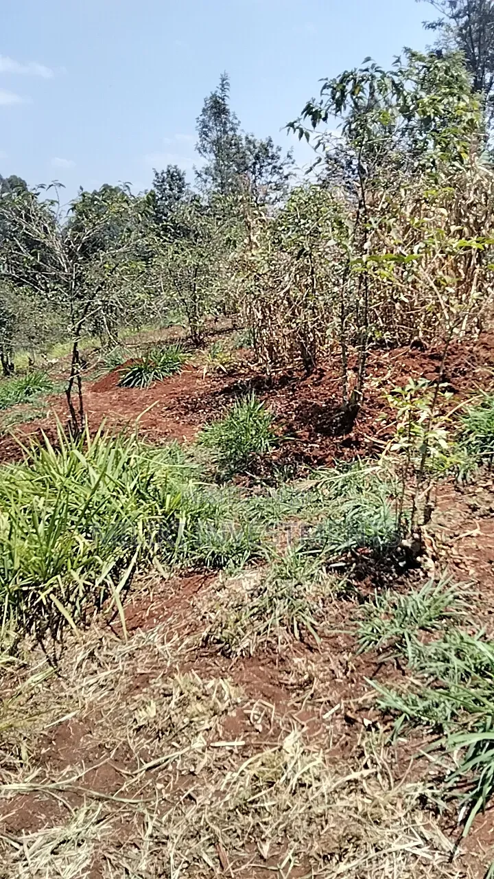 2 Acres Land on Sale at Gatundu South -Kiamwangi. in Kiamwangi