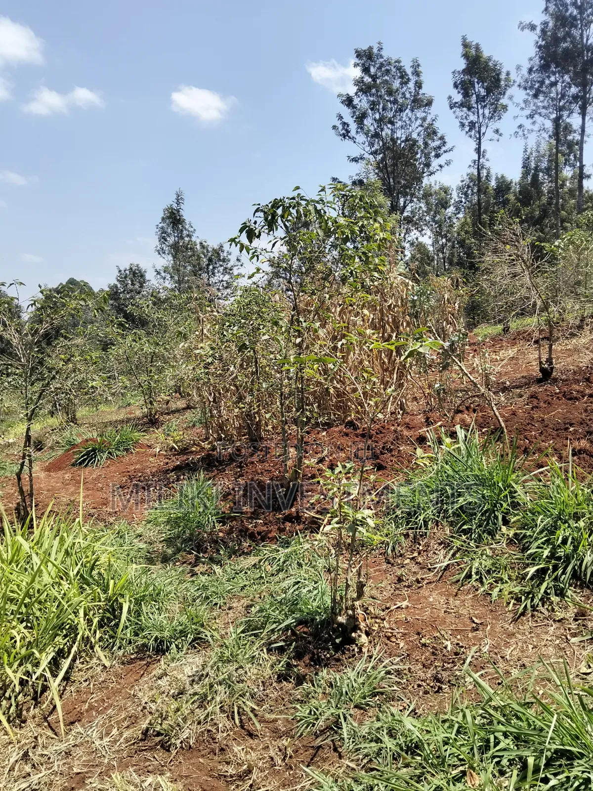 2 Acres Land on Sale at Gatundu South -Kiamwangi. in Kiamwangi
