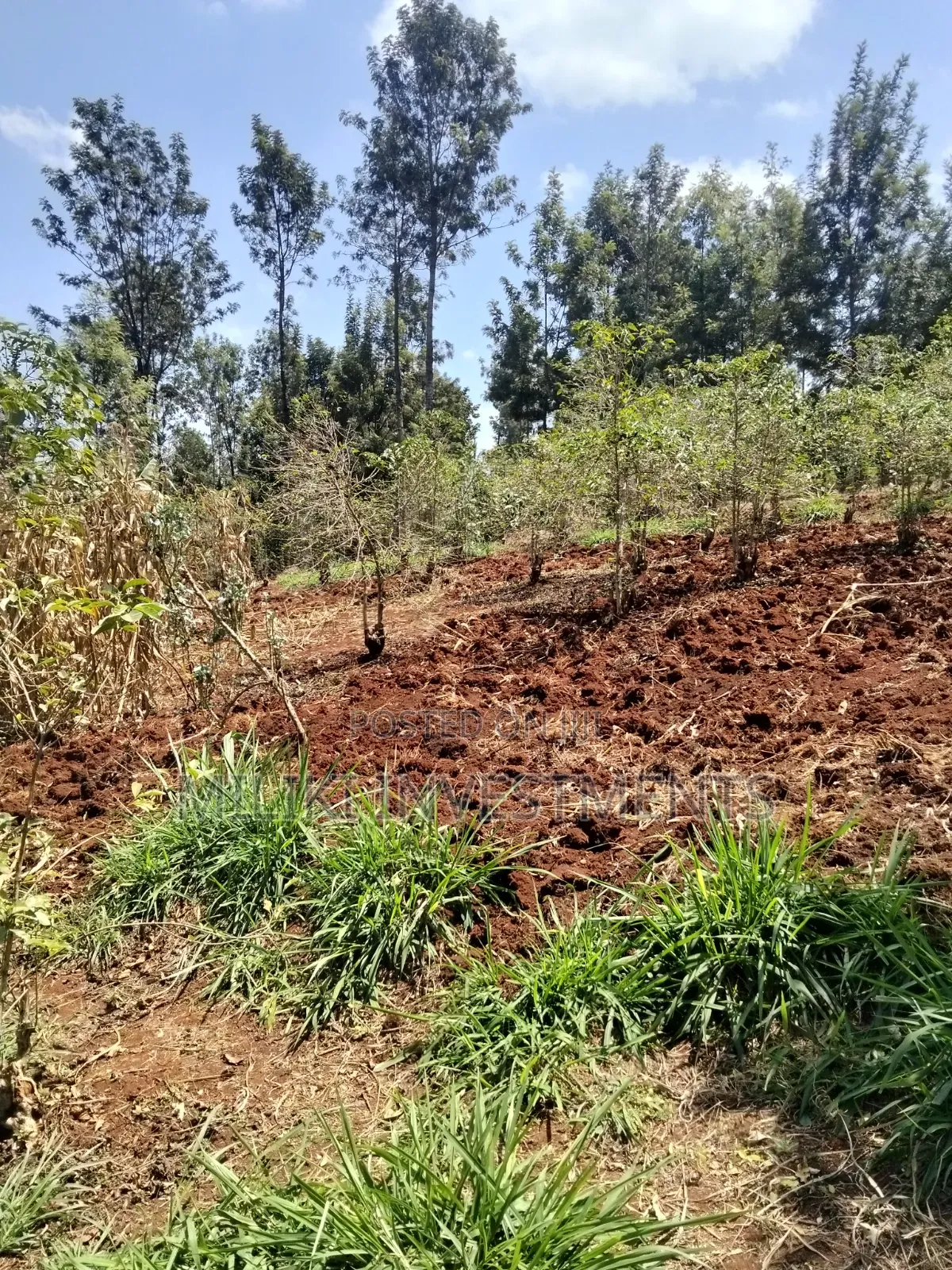 2 Acres Land on Sale at Gatundu South -Kiamwangi. in Kiamwangi