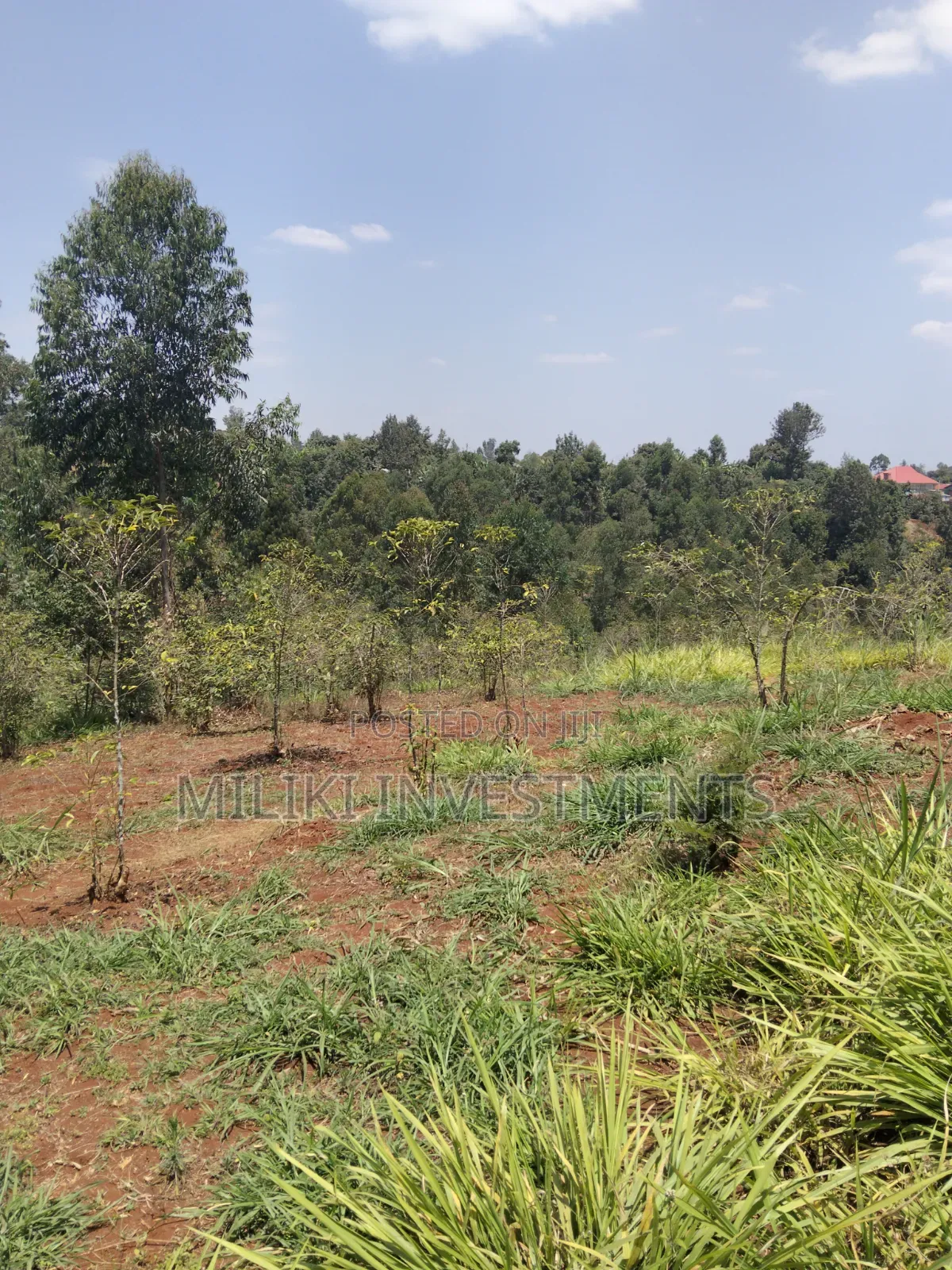 2 Acres Land on Sale at Gatundu South -Kiamwangi. in Kiamwangi