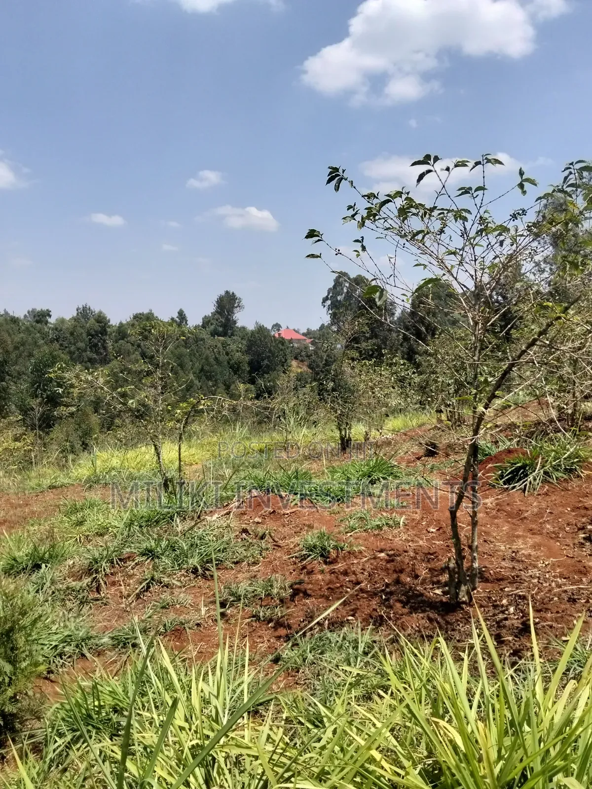 2 Acres Land on Sale at Gatundu South -Kiamwangi. in Kiamwangi