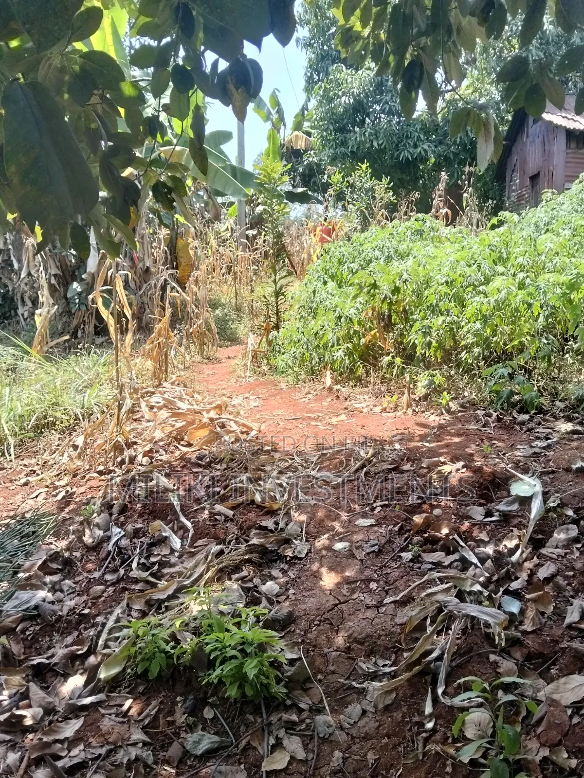 1 Acre Land Touching Tarmac on Sale at Kiamwangi in Kiamwangi